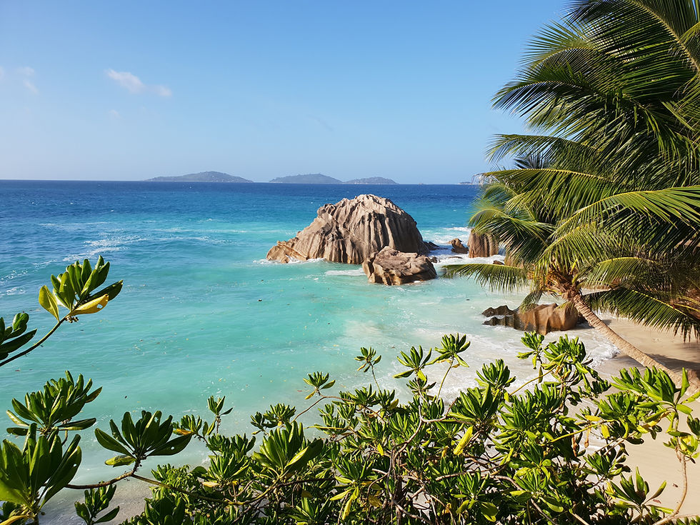 Seychelles Honeymoon